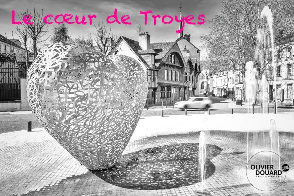 Appartement Hypercentre Troyes Buitenkant foto